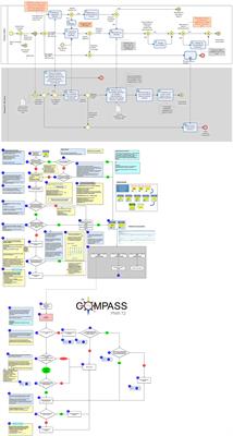 How to Develop and Implement a Computerized Decision Support System Integrated for Antimicrobial Stewardship? Experiences From Two Swiss Hospital Systems